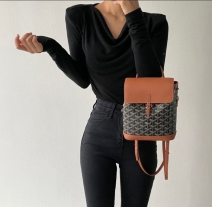 (국내발송) GY 고야드 알핀 백팩 미니