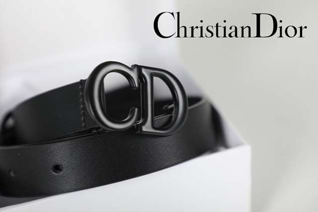 DO 디올 새들 벨트