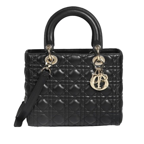 DO 디올 레이디백