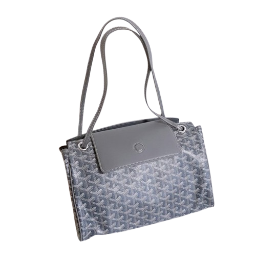 GY 고야드 루에뜨 PM 플랩 숄더백 1 