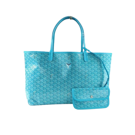 GY 고야드 생루이백GM 