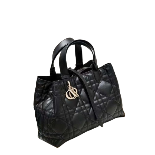 DO 디올 뚜주흐 대 