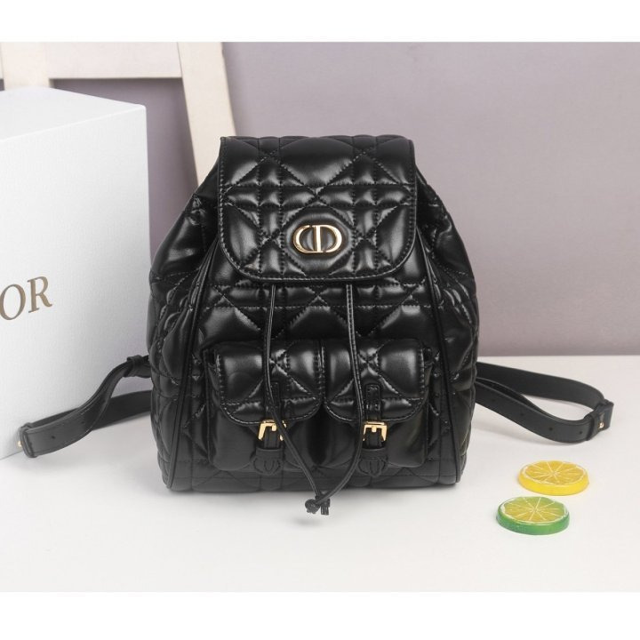DO 디올 백팩 