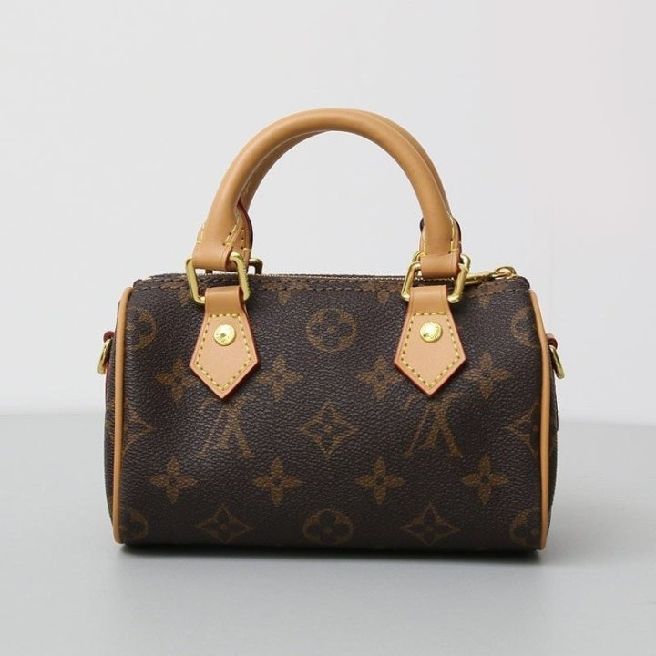 LV 루이비통 스피디 나노 미니백