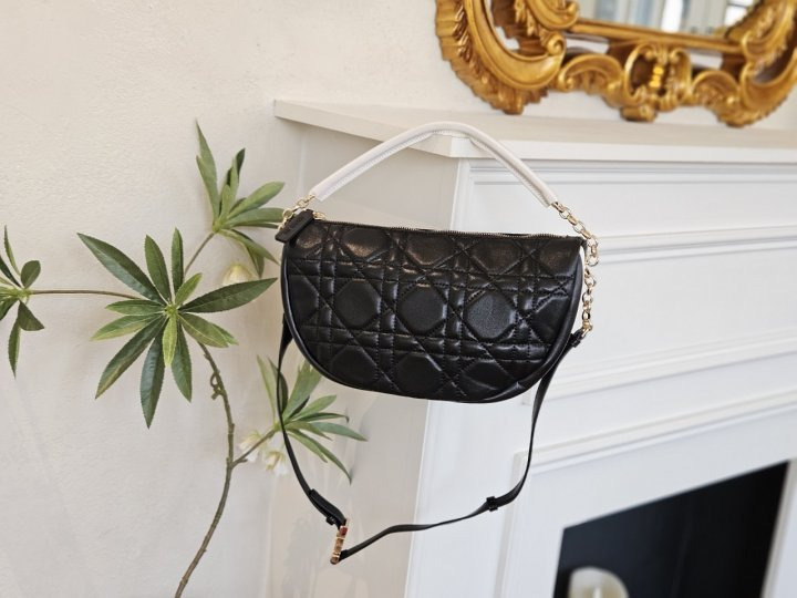 DO 디올 바이브 미디엄 호보백 