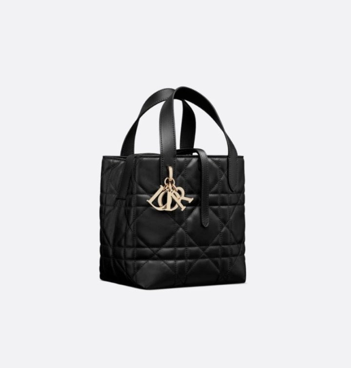 DO 디올 [고급] 뚜주흐 버티컬 토트백 미듐 1 