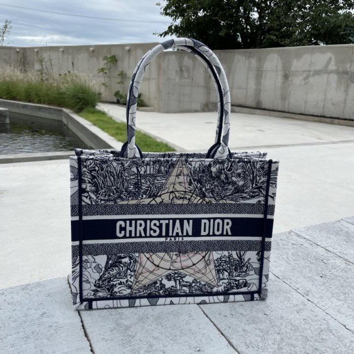 DO 디올 블루 어라운드 더월드 북토트(스몰) 