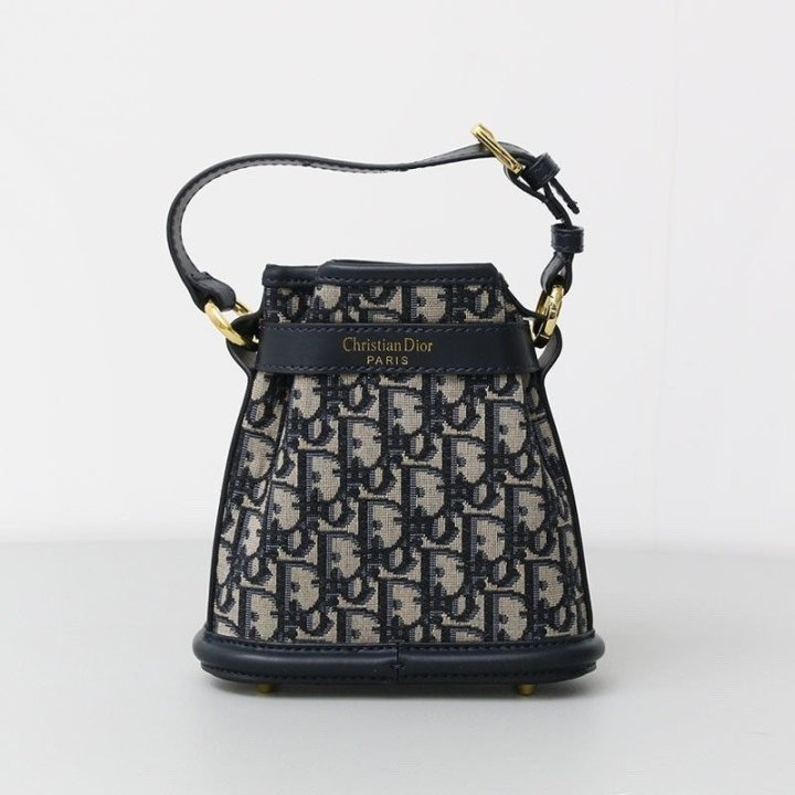 DO 디올 오블리크 쎄 디 미니백