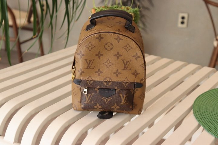 LV 루이비통 팜스프링스 백팩 미니 