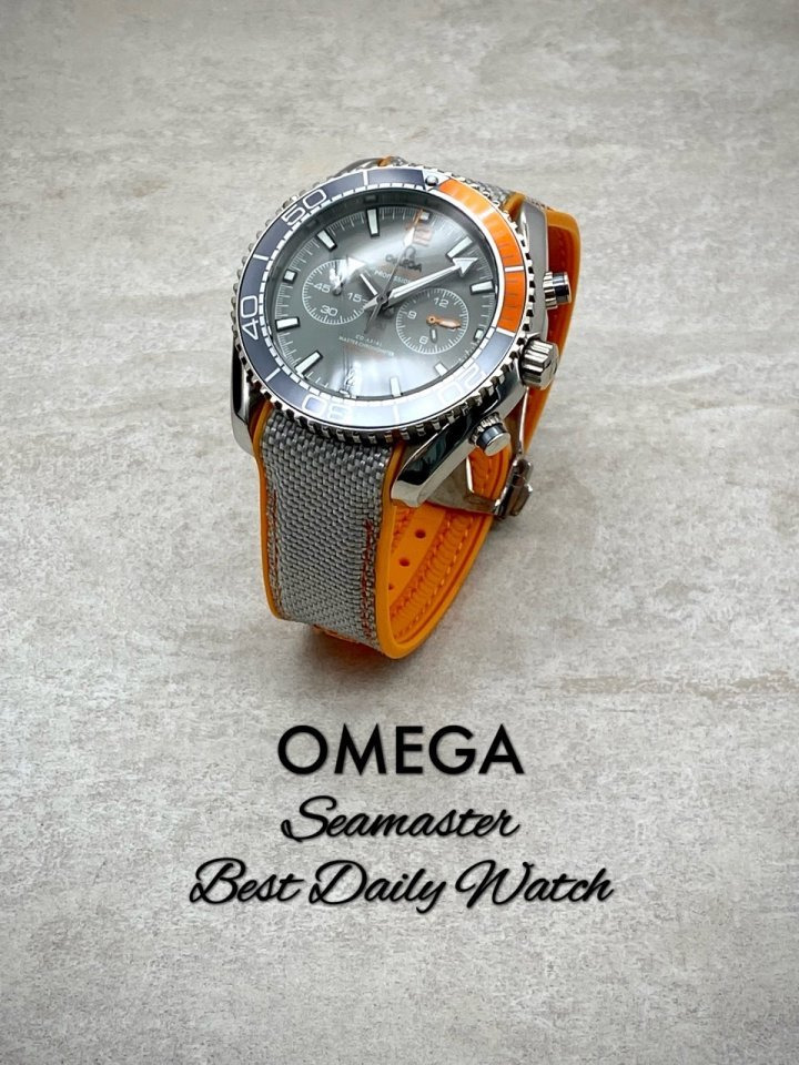 OM 오메가 씨마스터 플래닛오션 600M 