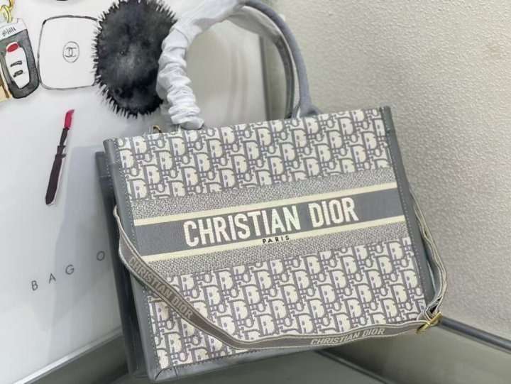 DO 디올 오블리크 북토트 신형 미듐 