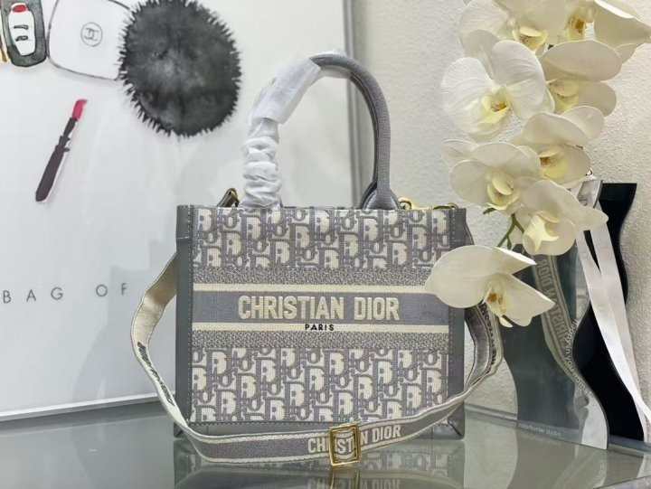 DO 디올 오블리크 북토트 신형 스몰 