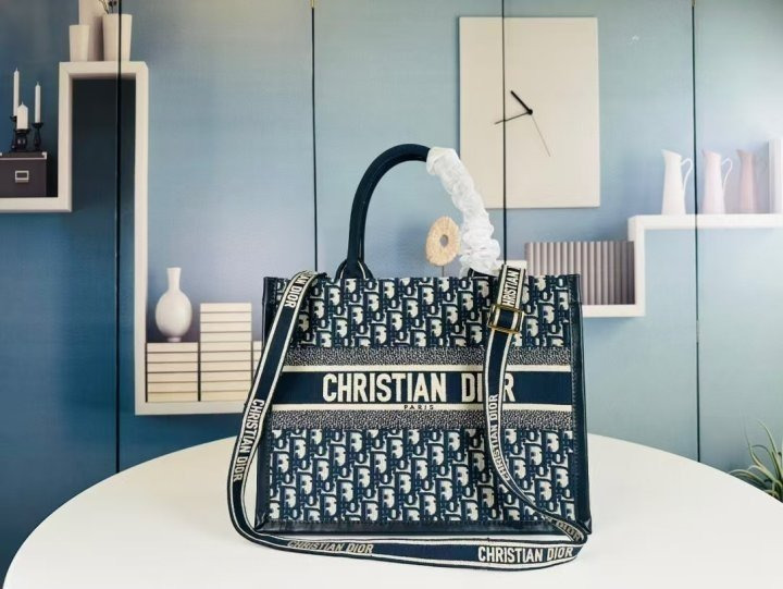 DO 디올 오블리크 북토트 신형 미듐 