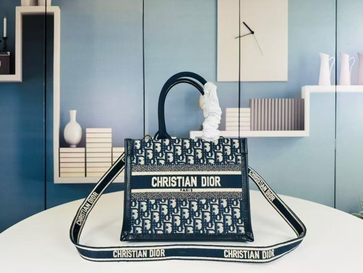 DO 디올 오블리크 북토트 신형 스몰 