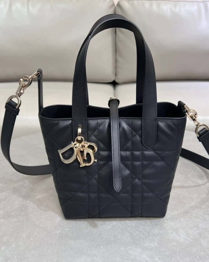 DO 디올 뚜주흐 스몰 버티컬 토트백 