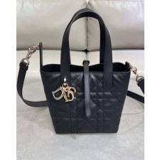 DO 디올 뚜주흐 스몰 버티컬 토트백 