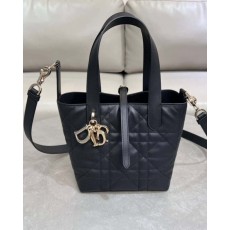 DO 디올 뚜주흐 스몰 버티컬 토트백 