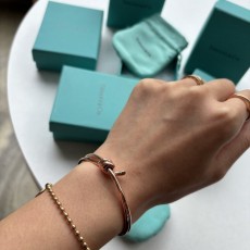 TC 티파니 더블 로우 힌지드 뱅글 