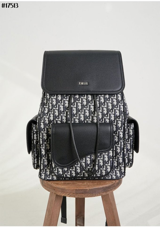 DO 디올 SADDLE 새들 백팩 ? 