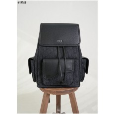 DO 디올 SADDLE 새들 백팩 ? 