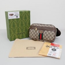 LV 루이비통 오피디아 GG 벨트백