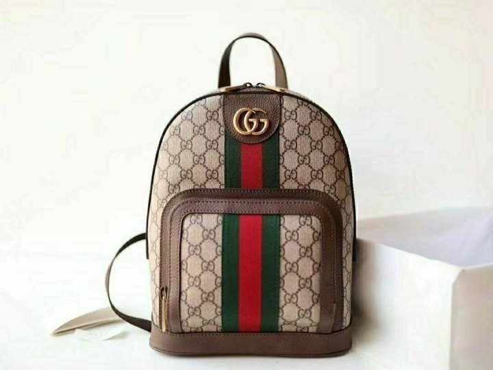 LV 루이비통 오피디아 백팩(여성) 