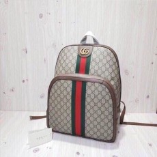 LV 루이비통 오피디아 백팩 