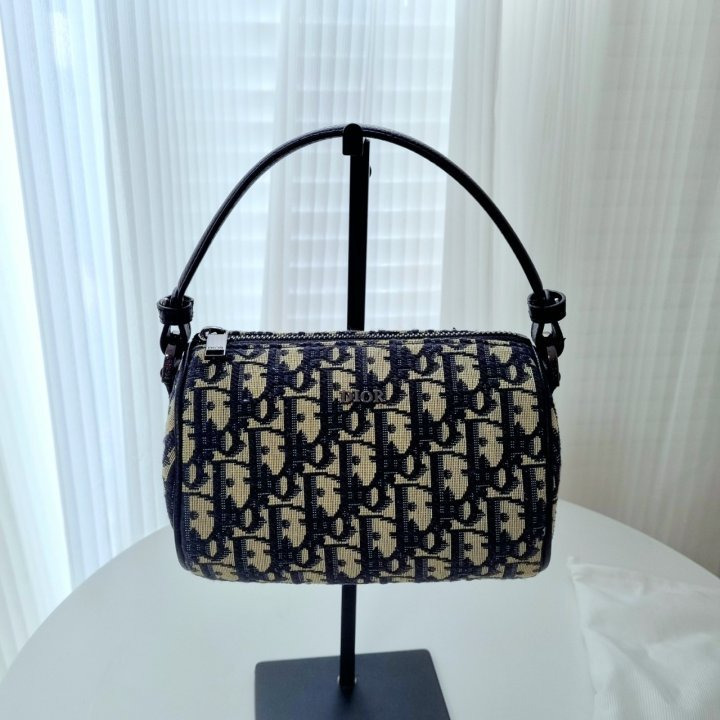 DO 디올 오블리크 롤러백  