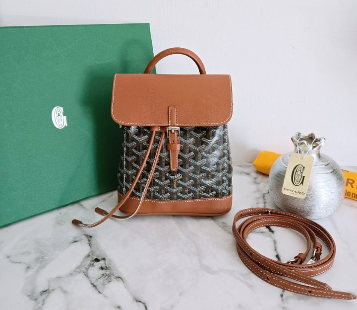 GY 고야드 알팡 백팩 미니 블랙탄