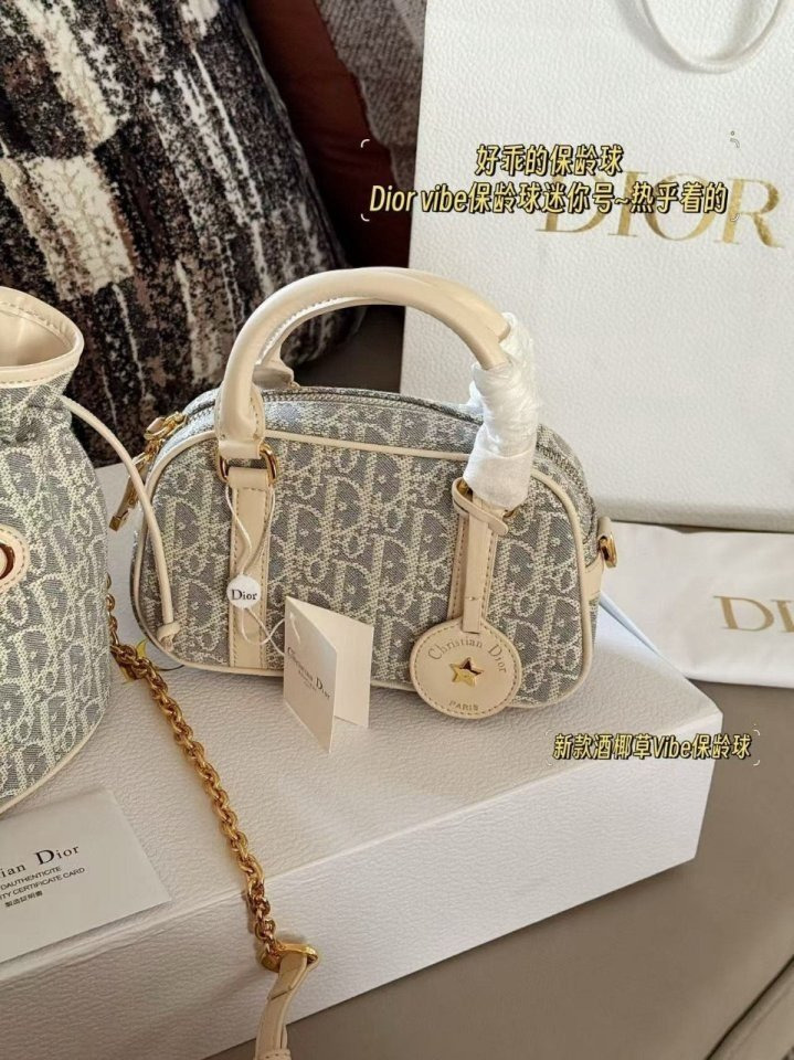 DO 디올 나노 백 