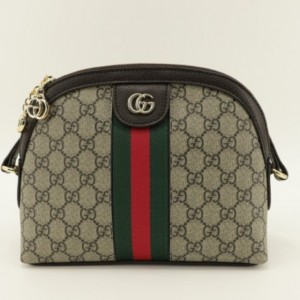 GC 구찌 [고급] 반달 오피디아 크로스 1 