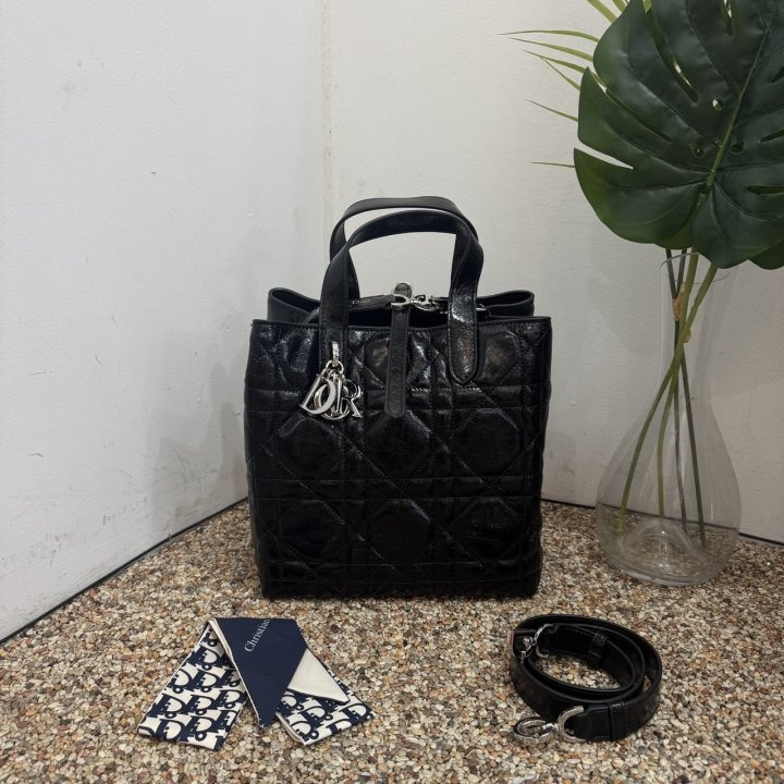 DO 디올 뚜주흐 나노 버티컬 토트백