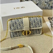 DO 디올 몽테인 크로스백 