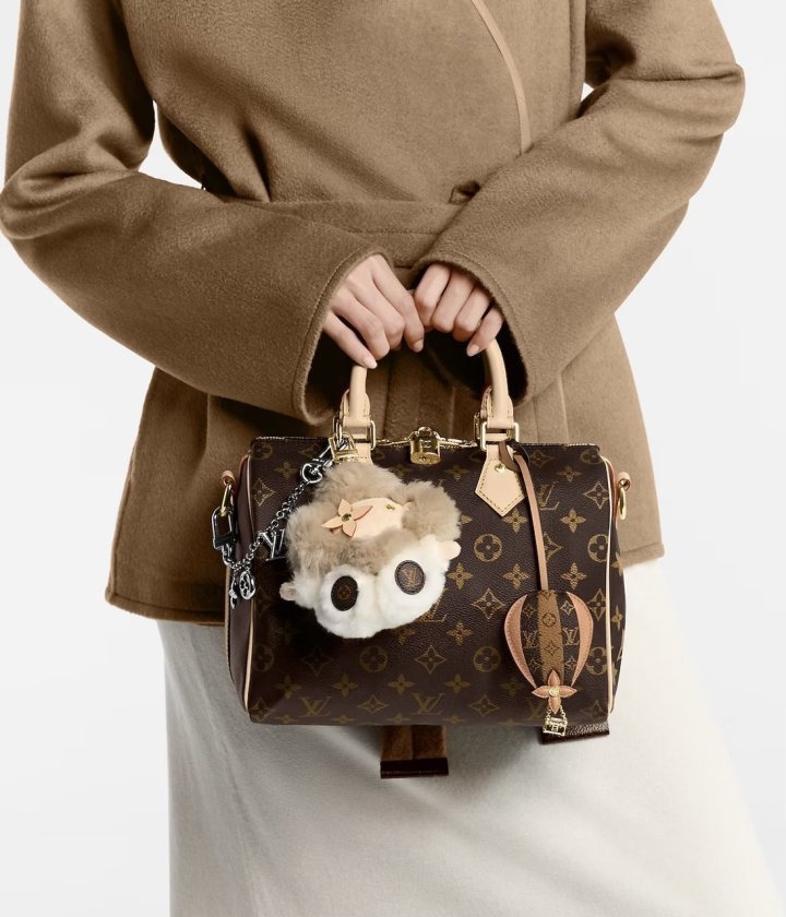 LV 루이비통 반둘리에 25 