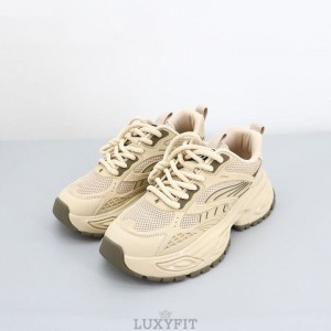 GC 구찌 매쉬 스니커즈