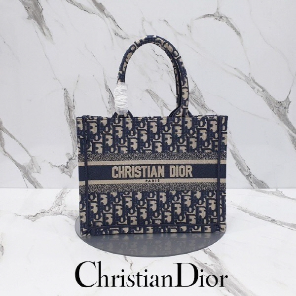 DO 디올 오블리크 북 토트 스몰 백